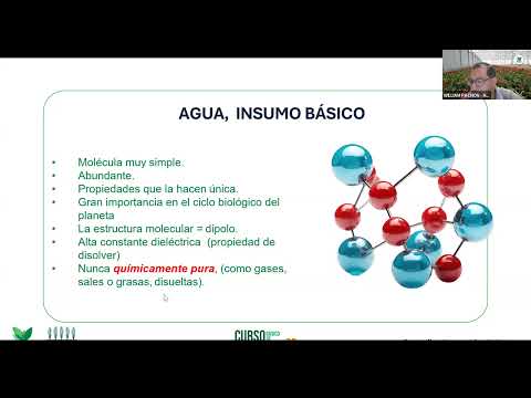 (sin datos extraídos)