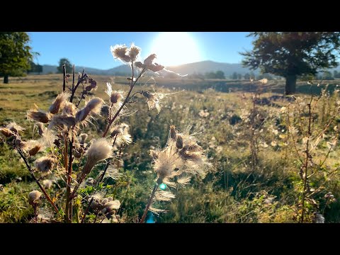 A week with a motorhome in Harghita and Covasna