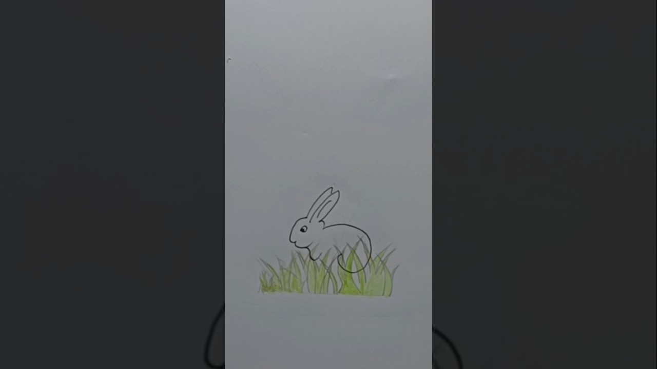 How to draw a rabbit on the grass