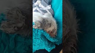 TANIA NEEDS OUR HELP! TODAY! TANIA NEEDS OUR HELP! TODAY!