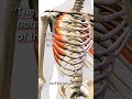 Are These Trigger Points Causing You Chest Pain