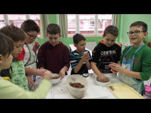 ŠKOLSKI SAT - OŠ I. G. KOVAČIĆA ZDENCI