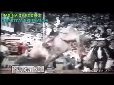 JEROMI DEVID V&TOURO PALADIUN     CIA PAULO EMILIO BARRETOS 97