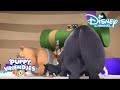 Puppy Vriendjes | Sleutel Jacht ? | Disney Channel NL