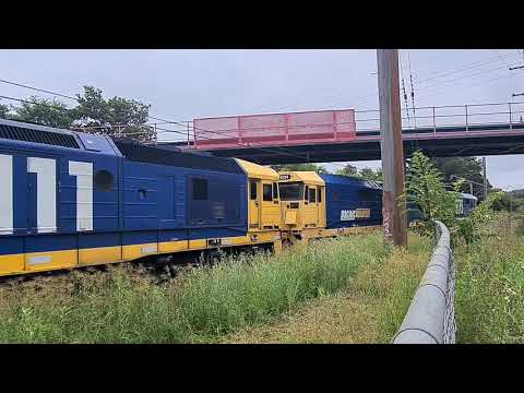 pacific national 8175 8124 and 8111