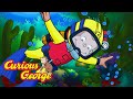 A Underwater Adventure Curious George Kids Cartoon Kids Movies
