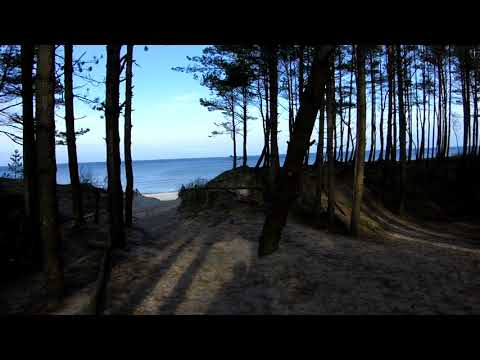 Dźwirzyno Polska 15. lutego 202