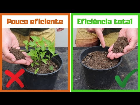 HOW TO USE CHICKEN MANURE IN POTS - MASTER TIP