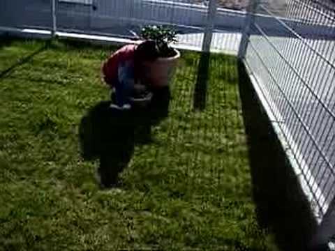 Elias - buscando huevos - beim Eier suchen - II - 08-04-2007