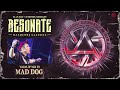Mad Dog Resonate Warmup Mix 2022