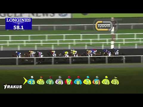 06.02.2014 Meydan (Dubai-UAE) 6.Race Al Maktoum Challenge R2 2014 - Group II 1.900 m