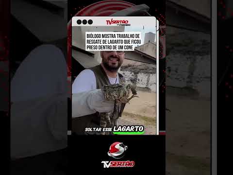 Homem resgata lagarto com cabeça presa em cone e reação do animal diverte a web