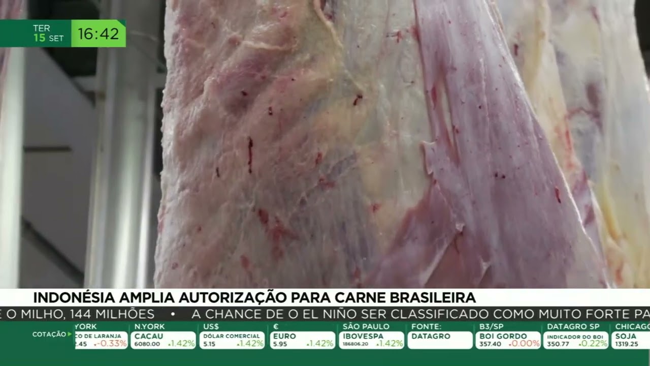 Indonésia amplia autorização para carne brasileira