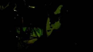 Vermillion - Evrything That Could Have Been(Kittie)