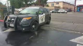 Pt 2 Van Nuys DMV with Furry Potato, James Freeman, and Johnny 5 0