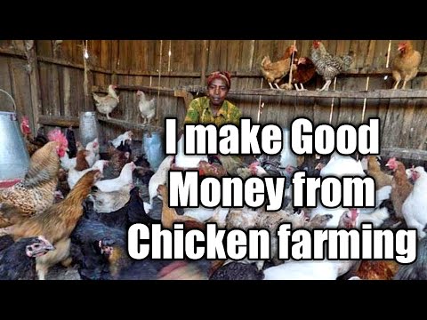 , title : 'I Make Good Money from Kienyeji Chicken Farming. How to start a Kienyeji Chicken Farm'