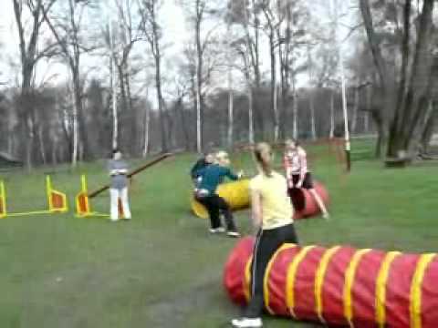 Bernardýnka Muffin a agility