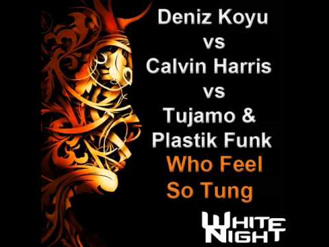 Deniz Koyu vs Calvin Harris vs Tujamo & Plastik Funk - Who Feel So Tung (White Night Mashup)