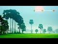 Natural Love Status Cute Village Life Tamil Video Whatsapp Status HD Video My Creations