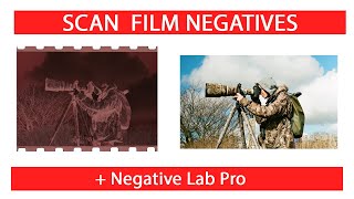 How to Scan Negatives | TheDarkroom.com, Negative Lab Pro, Pentax K1 + Pentax 100MM macro 2.8