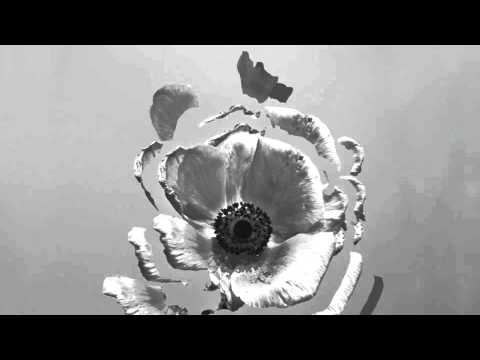 The Naked and Famous - "I Kill Giants"