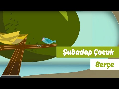 Serçe | Animasyon | Şubadap