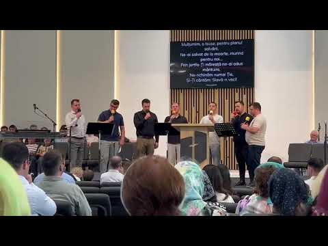 Fratii Fedur, Adi Pocsoara & Beni Ianta - Planul salvarii