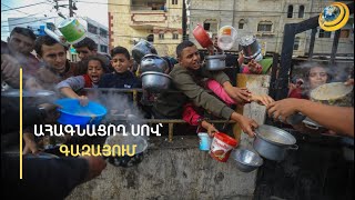 Լոլիկի 1 կիլոգրամը՝ 100 դոլար. Գազան սովամահ է լինում