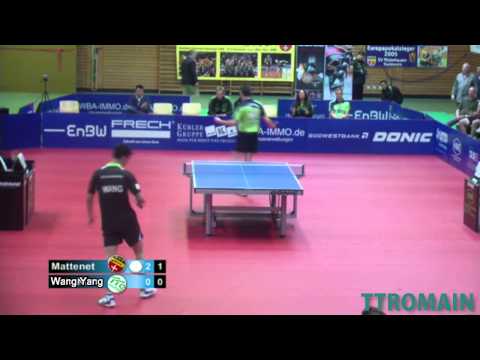 Adrien Mattenet VS Wang Yang [Bundesliga 2013]