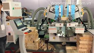 MÁY ĐÁNH MỘNG 2 đầu CNC WOODMASTER