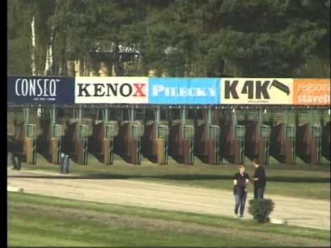 LL, 3. 10. 2015, 3. dostih - CENA SPOLEČNOSTI CAVALO ČERNÁ V POŠUMAVÍ