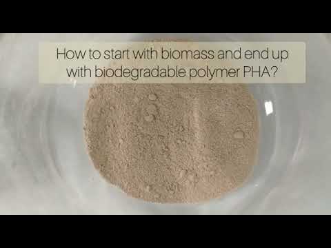 How to make the biodegradable polymer PHA