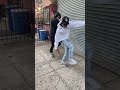 DD Osama And Lil Mabu Getting Sturdy Ddosama