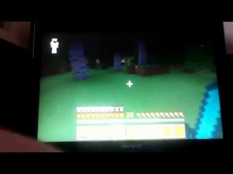 Minecraft - Randoms with Dale