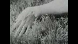 Above The Clouds Cyndi Lauper