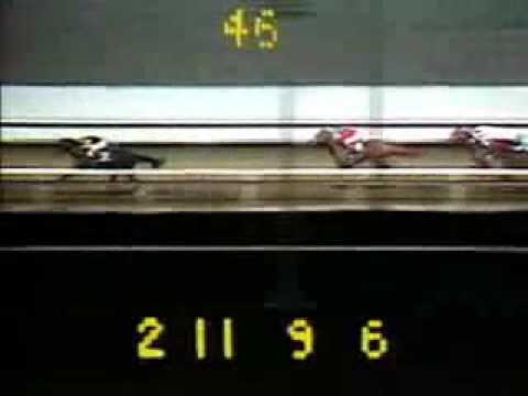 1978 Paterson Handicap   Dr  Patches and Seattle Slew