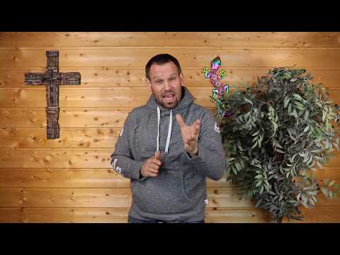 Gedanken zum Tag (14.05.2020)