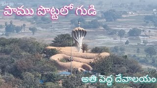 Temple video