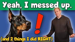 The WORST Mistakes I Made Raising My First Doberman