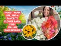 Heather Cain Family Life Italian Ranunculus And Petal Pink Flower Farm