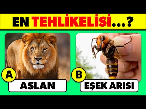 🧠Hayvanları Ne Kadar İyi Tanıyorsun?  🦁🐘✅ Genel Kültür