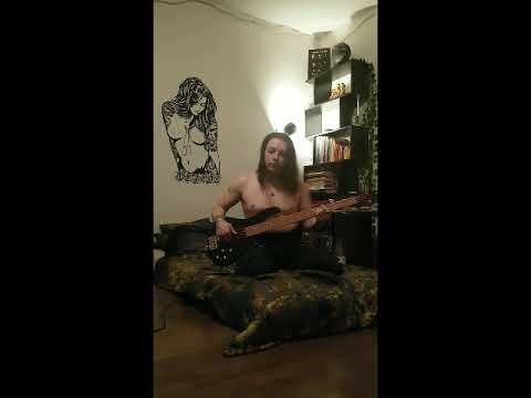 Martin Schneider - Everybody hurts (Bass Cover)
