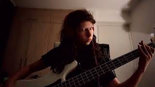 Gimme Brains - Bratmobile bass cover