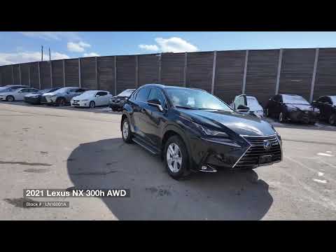 2021 Lexus NX 300h AWD in Black for sale at Ken Shaw Toyota in Toronto, ON
