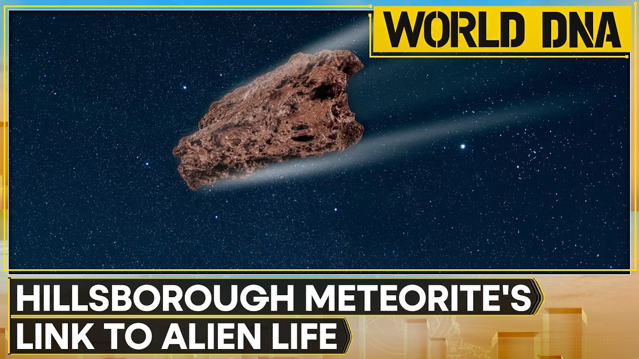 Meteorite Hold Records Of Conditions Existing 4.5 Billion Years Ago | WION World DNA