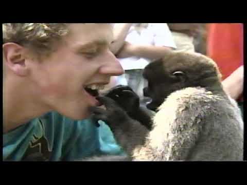 Zoo Life with Jack Hanna - Hangin' Out in Holland