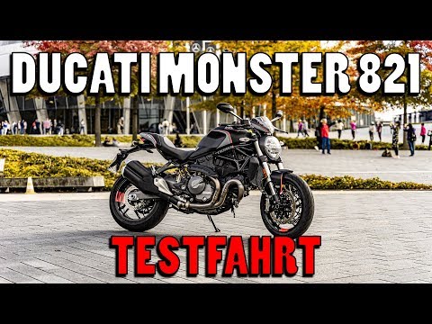 Ducati Monster 821 Test | The little Monster
