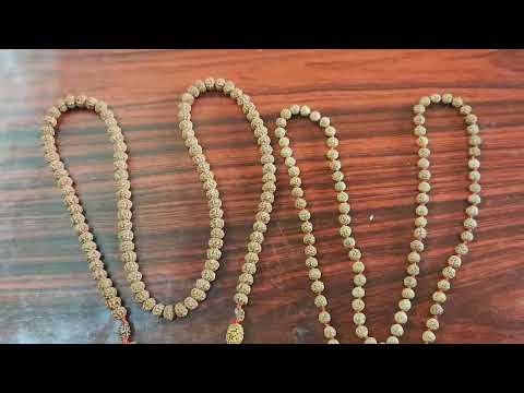 java vs nepal rudraksha |సిద్ధ మాల |Small Rudraksha vs big Rudraksh| Guntur Indonesian Rudraksha