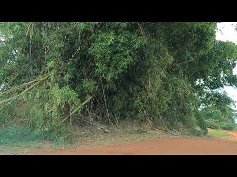 ESTRADA DA PEDREIRA - PARANACITY - PARANÁ - BRASIL- PARTE 02