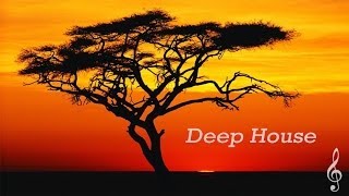 Deep House Mix 2013 (Maceo Plex, Ben Pearce, Hot Since 82, Claptone, Bakermat)
